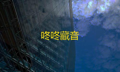 暗区突围透视物资咚咚藏音